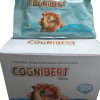 CONGNIBERT TAB